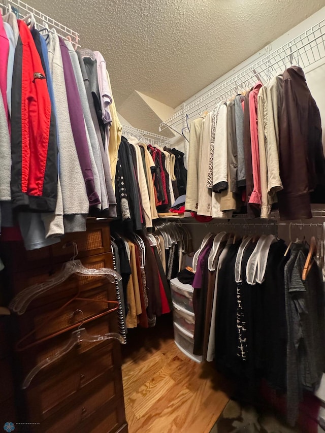 spacious closet featuring hardwood / wood-style flooring