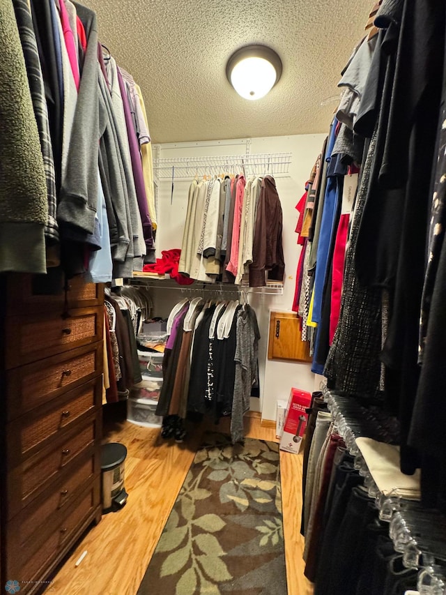 walk in closet with light wood-type flooring