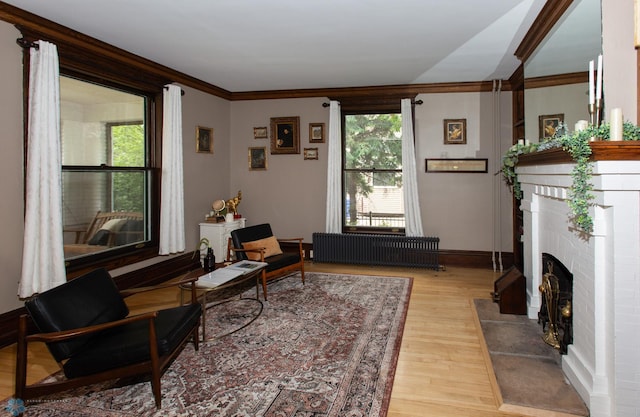 living room featuring a fireplace, light hardwood / wood-style floors, crown molding, and a wealth of natural light