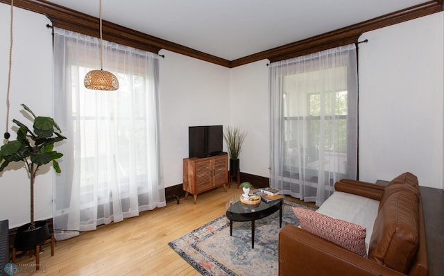 living room with light hardwood / wood-style flooring and ornamental molding