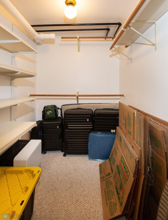 walk in closet featuring carpet floors