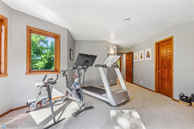 workout room featuring carpet floors