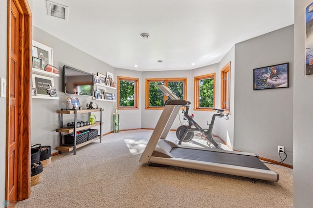 exercise area with carpet flooring