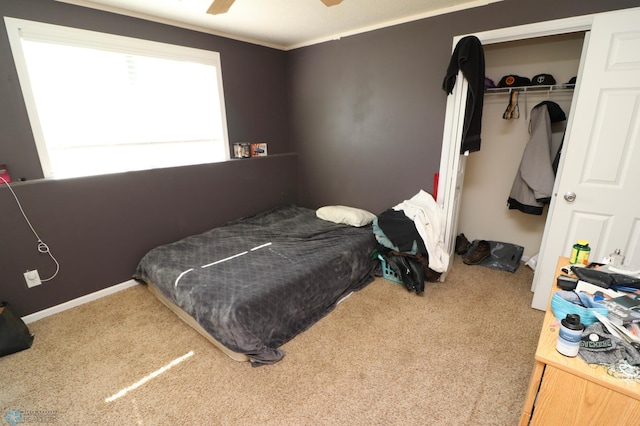 bedroom featuring carpet, ceiling fan, a closet, and crown molding