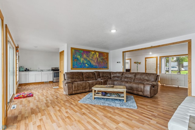 living room with a textured ceiling and light hardwood / wood-style flooring