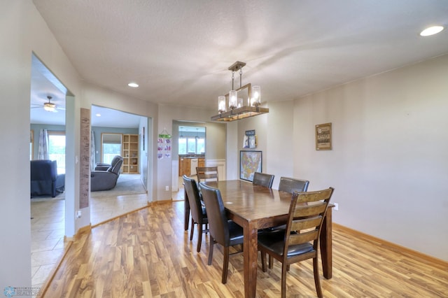 dining area with plenty of natural light, ceiling fan with notable chandelier, and light hardwood / wood-style flooring