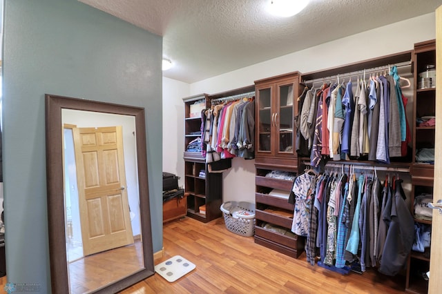 spacious closet with light hardwood / wood-style flooring