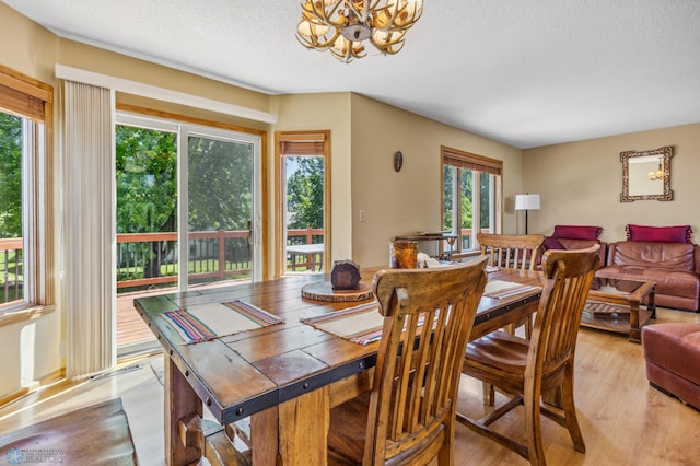 dining area featuring light hardwood / wood-style flooring, a textured ceiling, and an inviting chandelier