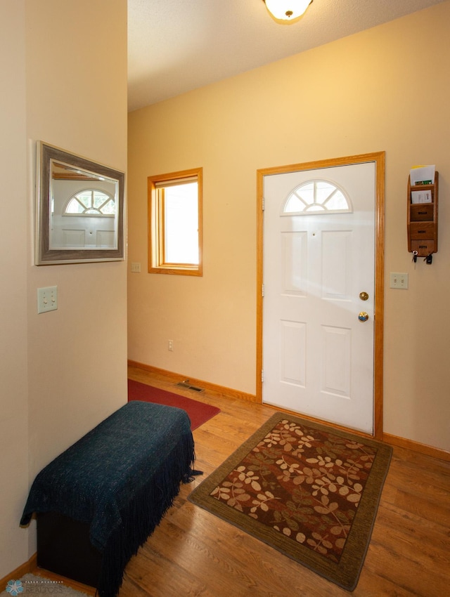 foyer entrance featuring wood-type flooring