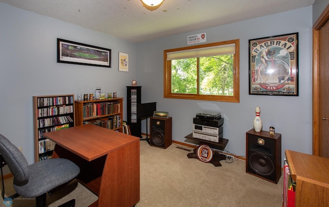 office with carpet and a textured ceiling