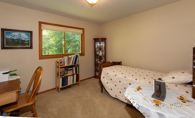 bedroom with light colored carpet