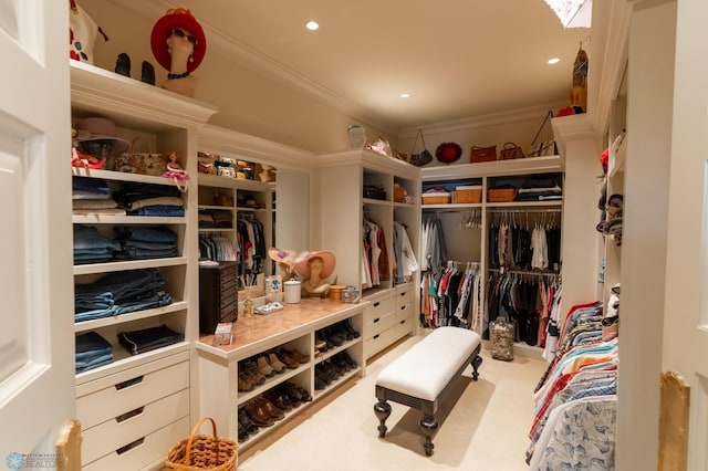 walk in closet featuring carpet flooring