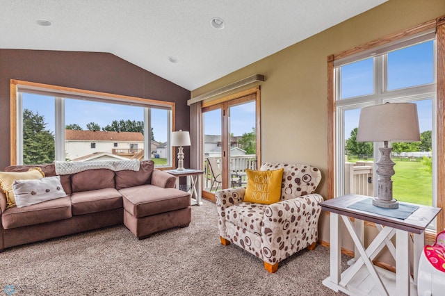 living room with carpet floors and vaulted ceiling