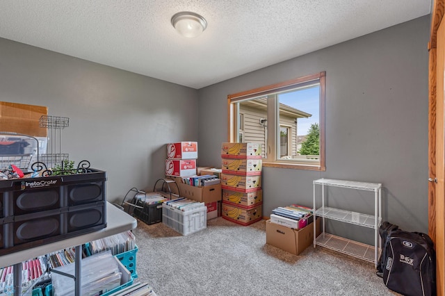 interior space with carpet and a textured ceiling