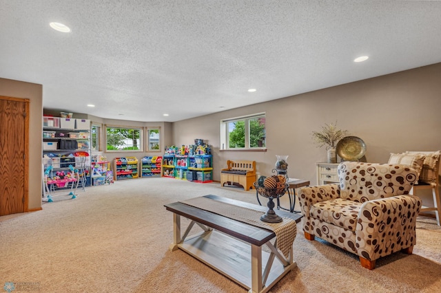 living room with carpet and a textured ceiling