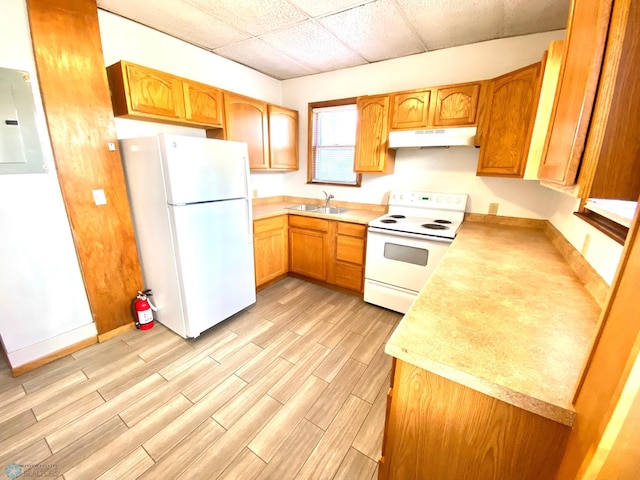 kitchen with light hardwood / wood-style floors, sink, white appliances, and a drop ceiling