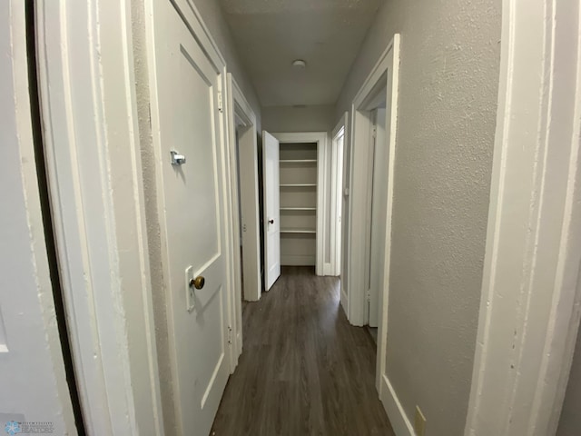 hall featuring dark hardwood / wood-style flooring