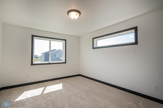 unfurnished room featuring a healthy amount of sunlight and carpet floors