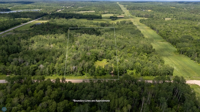 30910 County 89, Park Rapids MN, 56470 land for sale