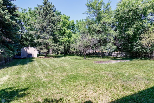 view of yard featuring a shed