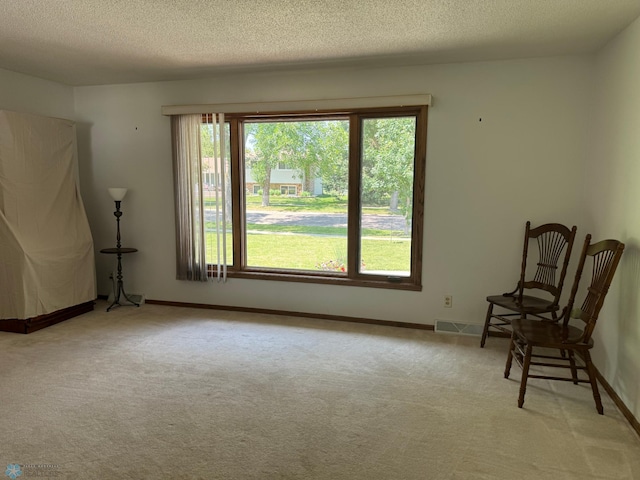 unfurnished room with light carpet and a textured ceiling