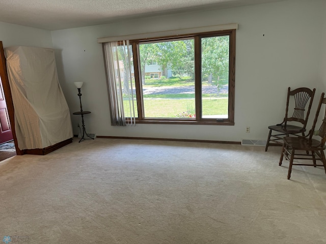 unfurnished room with a healthy amount of sunlight, a textured ceiling, and light colored carpet