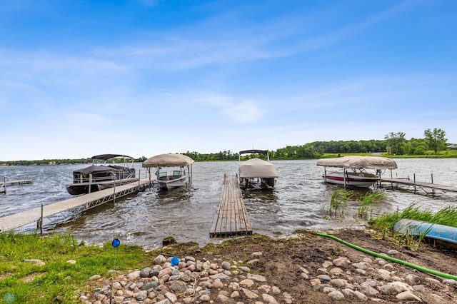 dock area with a water view