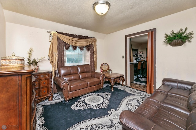 carpeted living room with a textured ceiling