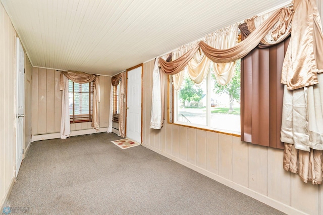 interior space featuring carpet floors, wooden walls, and a healthy amount of sunlight