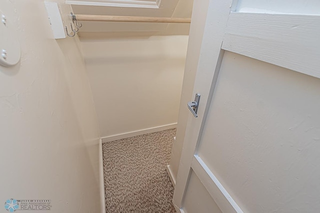 spacious closet with carpet