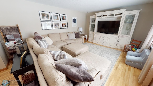 living room featuring light hardwood / wood-style floors