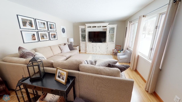 living room featuring light hardwood / wood-style flooring and plenty of natural light