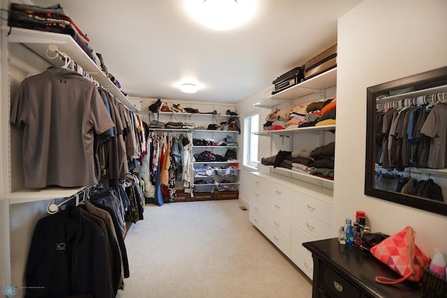 spacious closet with light carpet