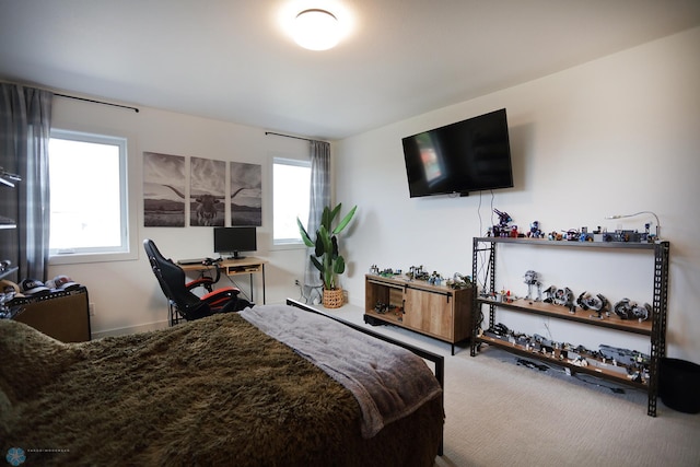 bedroom with multiple windows and carpet