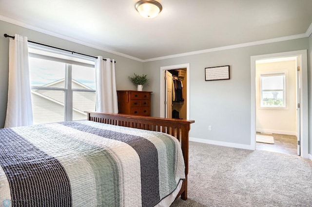 carpeted bedroom with a spacious closet, crown molding, and a closet