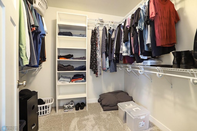 spacious closet with carpet