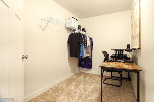 walk in closet featuring carpet flooring