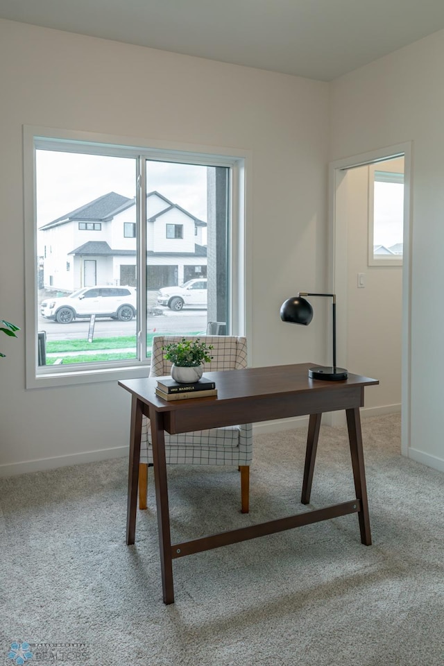 home office with light colored carpet and plenty of natural light