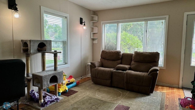 interior space with light hardwood / wood-style floors and plenty of natural light