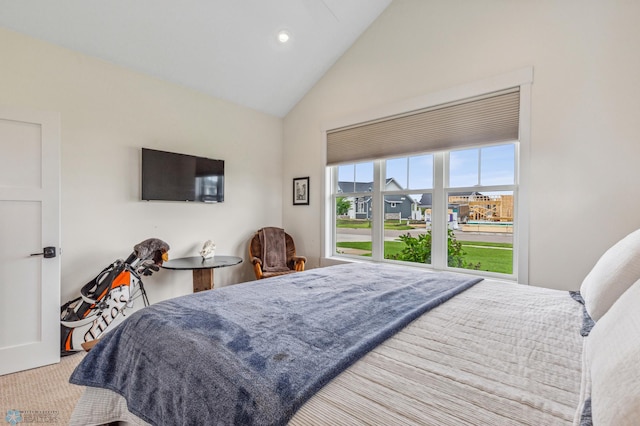 bedroom with carpet floors and high vaulted ceiling