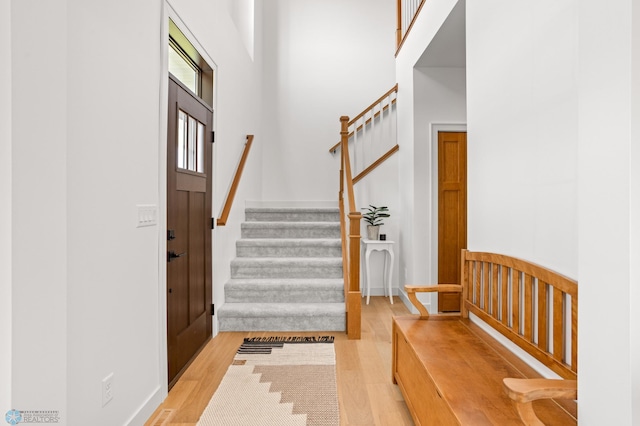 entrance foyer with light hardwood / wood-style flooring and a high ceiling