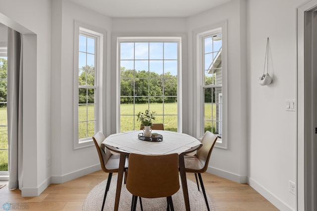 dining space featuring a healthy amount of sunlight and light wood-type flooring