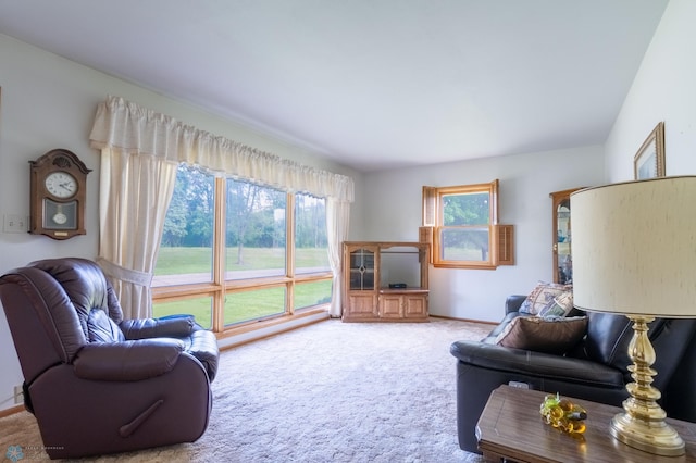 living room featuring carpet floors