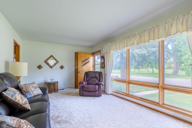 living room with carpet