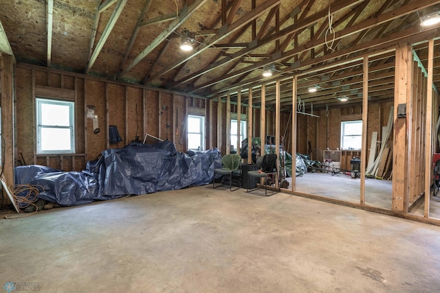 basement with a wealth of natural light