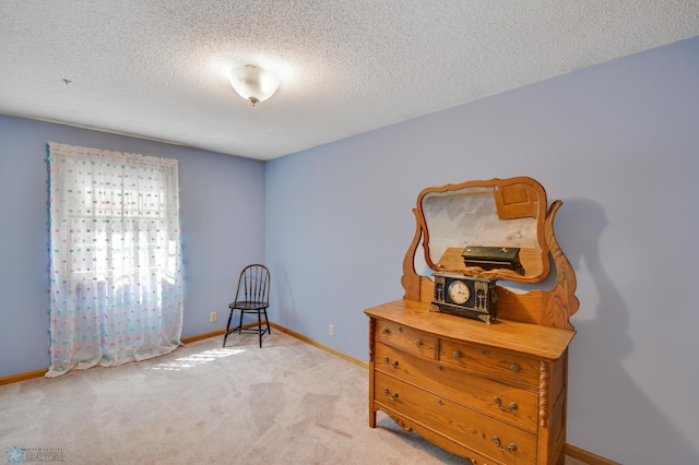 miscellaneous room with light colored carpet and a textured ceiling