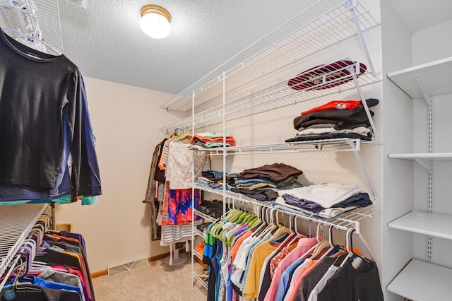 spacious closet with carpet floors