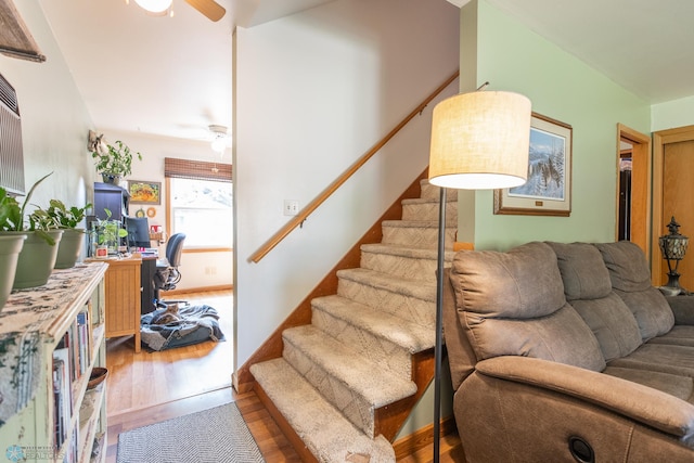 staircase featuring ceiling fan and hardwood / wood-style flooring