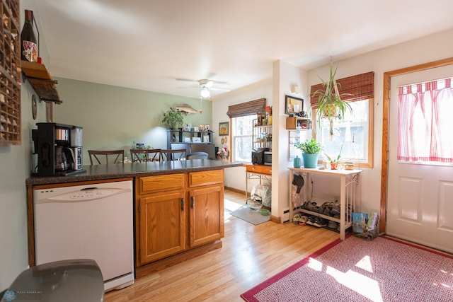 kitchen featuring kitchen peninsula, light hardwood / wood-style flooring, white dishwasher, and ceiling fan