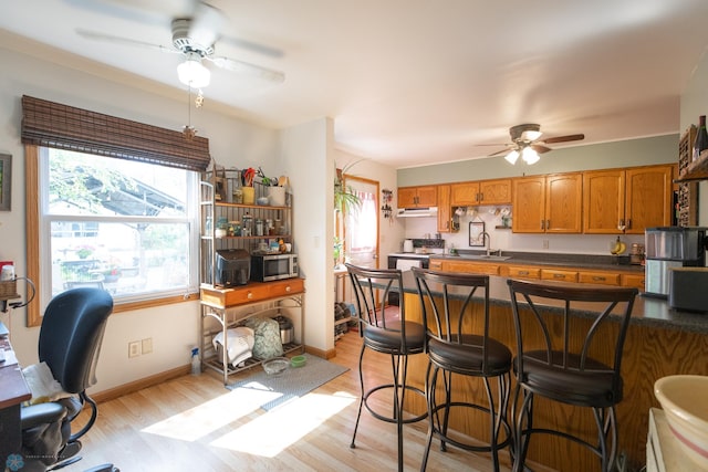 kitchen featuring plenty of natural light, stove, ceiling fan, and light hardwood / wood-style floors